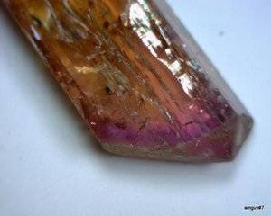 bi-color purple cap 3.jpg