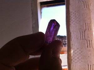 image (1).jpeg