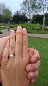 Hand Shot 1.jpg