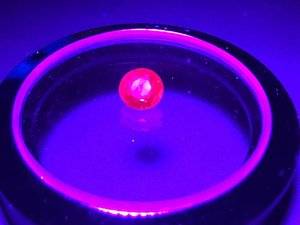 IMG_5438.JPG