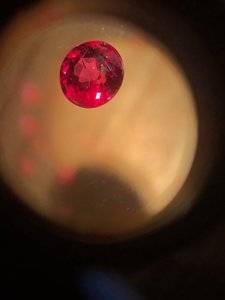 IMG_5448.JPG