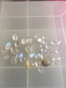 467C1C9E-D17C-4E06-987B-AB27A2628525.jpeg