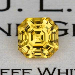 Yellow SAP211 - studio.jpg Yellow SAP211 - studio.jpg