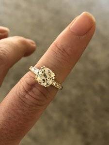 IMG_4462.JPEG IMG_4462.JPEG