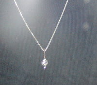 necklace w flash.jpg