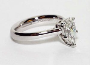 e-ring 2.jpg