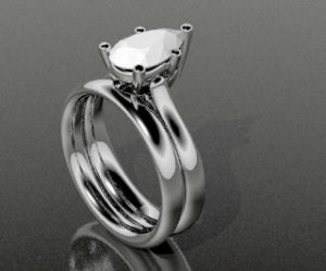e-ring and band.jpg