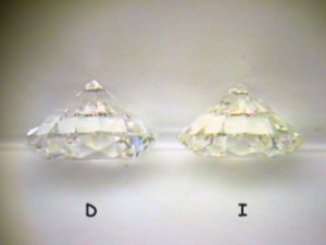 microDI01640.jpg