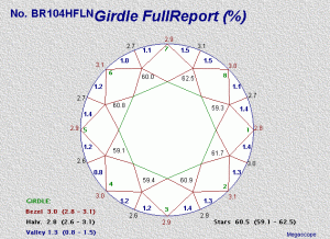 BR104HFLNGirdFull.gif