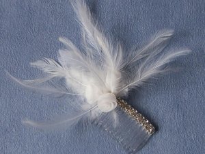 comb1.jpg