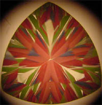214b8c5.jpg