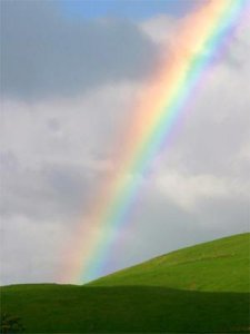 teddys_rainbow.JPG