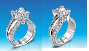 Claude Royle Rings for 4bugzinaring.JPG