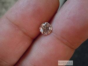 r7075-finger-shot.JPG