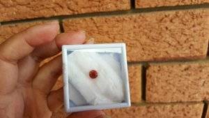 20180820_130043.jpg