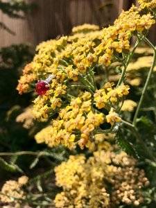 IMG_6992.jpg