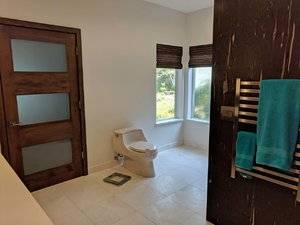 toilet.jpg