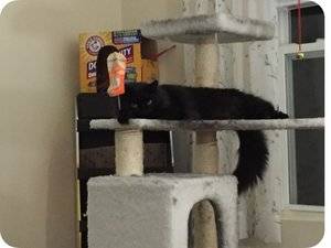 upload_2018-8-25_20-5-26.jpeg