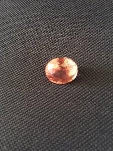 Lotus Garnet 3.JPG