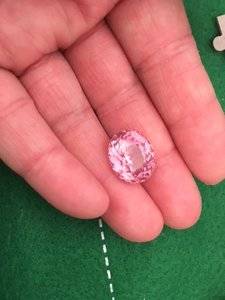 Lotus Garnet4.JPG