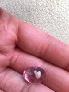 Lotus Garnet 5.JPG