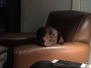 IMG_1535723809414.jpg
