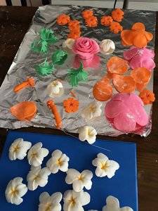 IMG_0553.jpg
