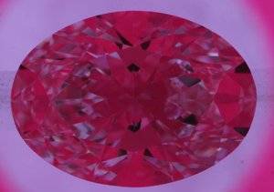 11806515 - Idealscope image.JPG