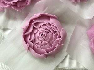 IMG_0744.jpg