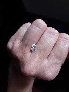 20180920_100531.jpg