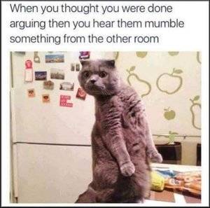 Thought-you-were-done-arguing---cat-pic.jpg