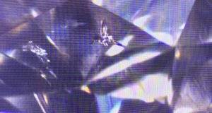 F3B30507-8171-4CEA-9749-C9834A7B6F42.jpeg