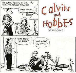 cleaningcalvinandhobbes.jpg