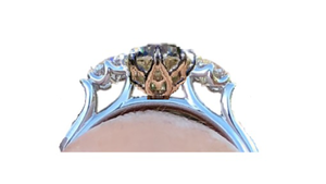 623FD46B-97B1-47D0-9D21-534C7D84A11D.png