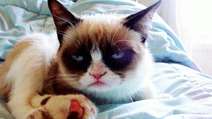 grumpy.gif