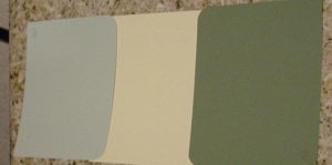 paint options 0306a.jpg