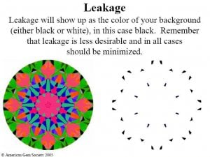 leakage-shows-black.jpg