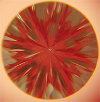 214b896.jpg