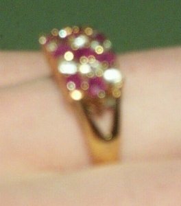 Blenheim_Ruby_Side_Handshot_edited.jpg
