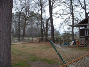 backyardagainagain.JPG