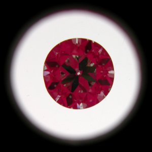IS_EGLUS30522801D.jpg