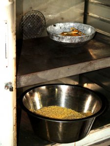 Bigger-bucket.jpg