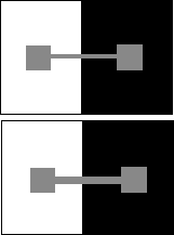 Latinhib(ghostlines).GIF