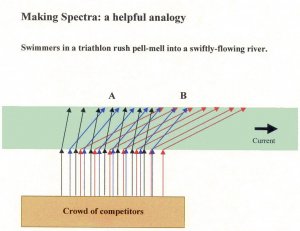 Mixed_Swimmers.JPG