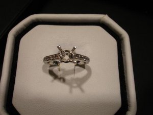 DSC00433 (Small).JPG