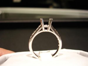 DSC00435 (Small).JPG