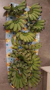 20181014_215246.jpg