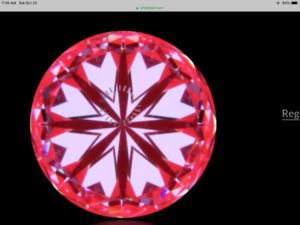 F8F5C4AD-E0E8-4181-977B-B76E9B3F1320.png