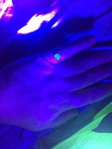 502158AD-FC3A-4BB1-A04D-4C33C78C7D38.jpeg