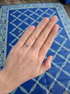 IMG_20180928_183216.jpg